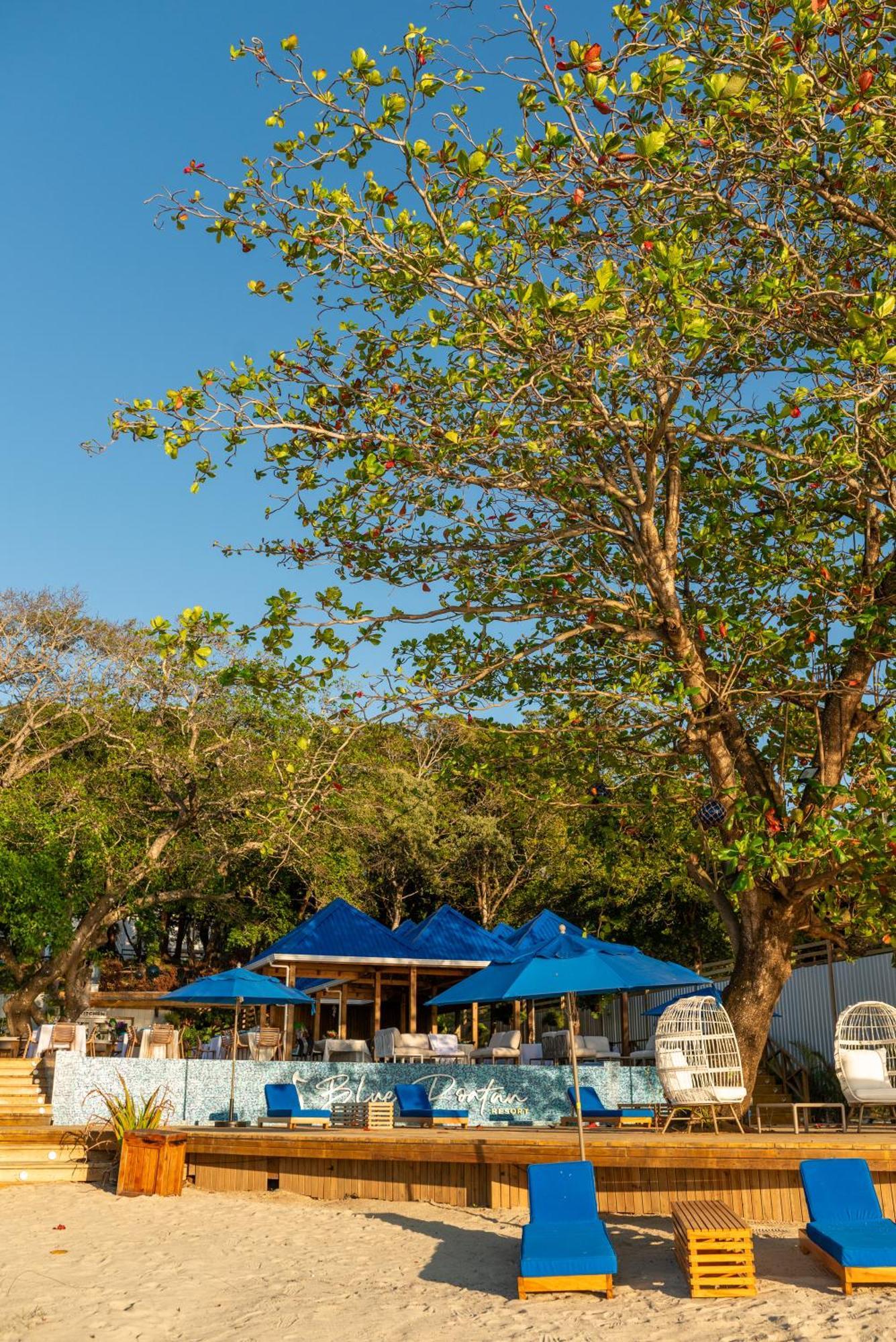 Blue Roatan Resort West Bay Eksteriør billede