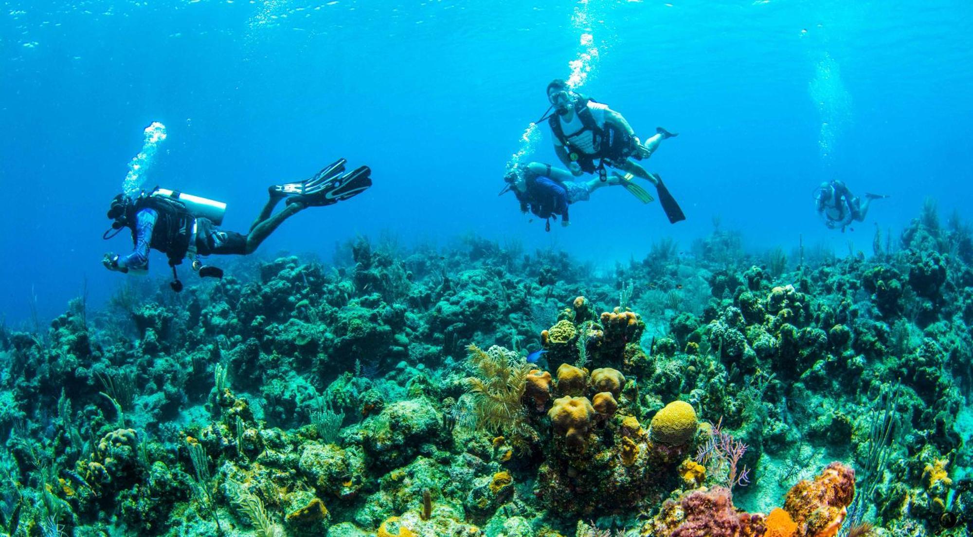 Blue Roatan Resort West Bay Eksteriør billede